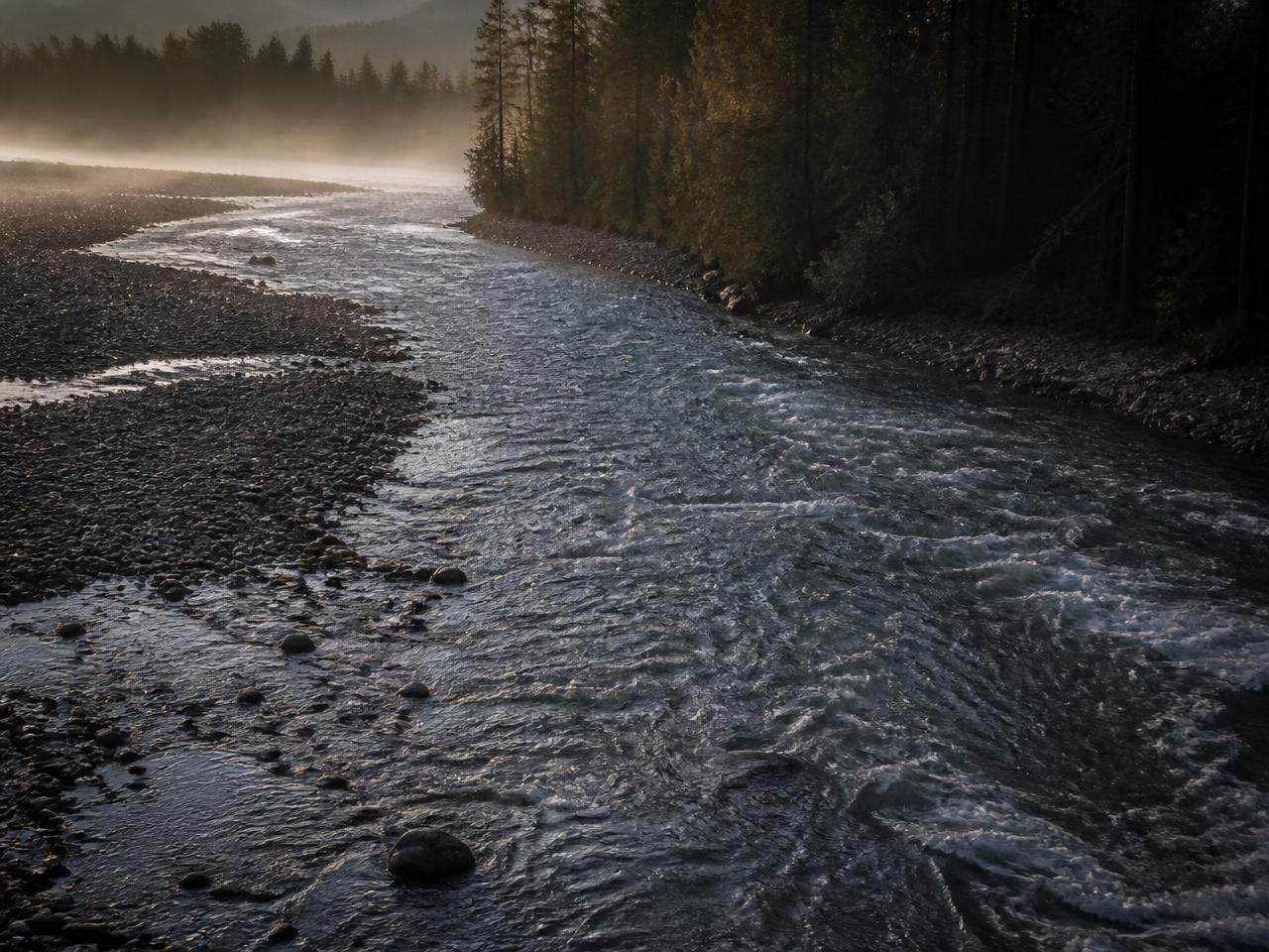 A cold braided river corridor cutting past a gravel bar in morning mist